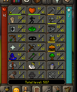 OSRS starter account stats screenshot showing 41 combat level, 507 total level, and balanced beginner-friendly skills including Firemaking, Cooking, Fishing, Woodcutting, Magic, and Attack.